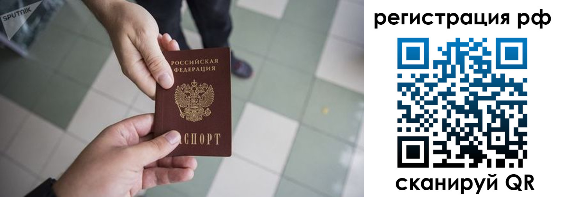 прописка гарантия в Лесозаводске